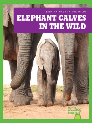 cover image of Elephant Calves in the Wild